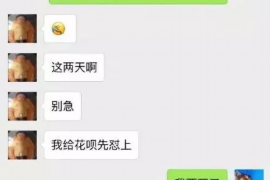 和平融资清欠服务